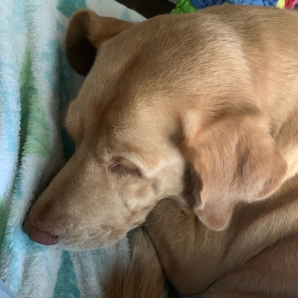 Lip Service Vintage Psychedelic Midi Dress Sleeveless Slit Rainbow Large EUC - Picture 8 of 8